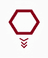 Sernixa.ai logo